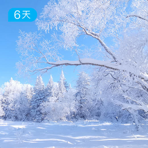 冬季长白山脉+延吉轻户外 探寻天池外的冬日谧境 6日 商品图3