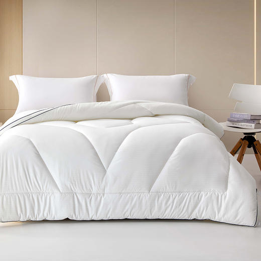 多喜爱 甄芯舒柔抗菌十孔春秋被/冬被/（拉链款）子母被系列hl【十孔纤维】【抗菌纤维】【提花磨绒】【织带工艺】蓬松温暖 柔软细腻 多款厚度 立高工艺 商品图7