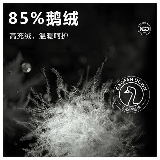 半身缘男装 冬季面包85%鹅绒螺纹袖口抗菌防静电羽绒服2618 商品图9