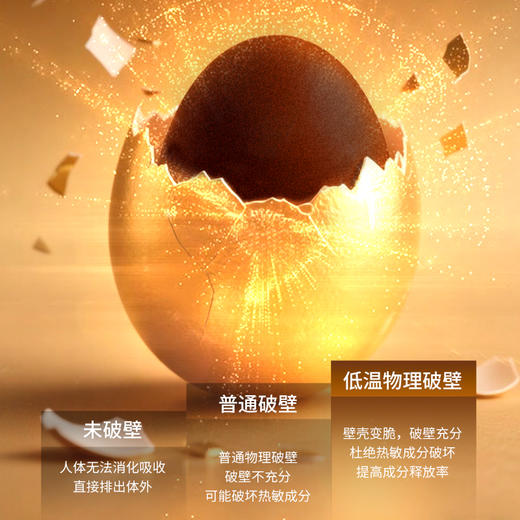 爆款新中式健康滋补 滋仙草灵芝孢子粉 人种天养 20g/盒 商品图1