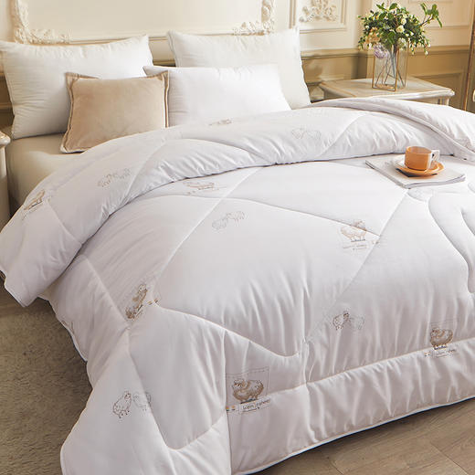 保罗大卫 亲肤透气保暖锁温抗菌羊毛被200*230cm 商品图2