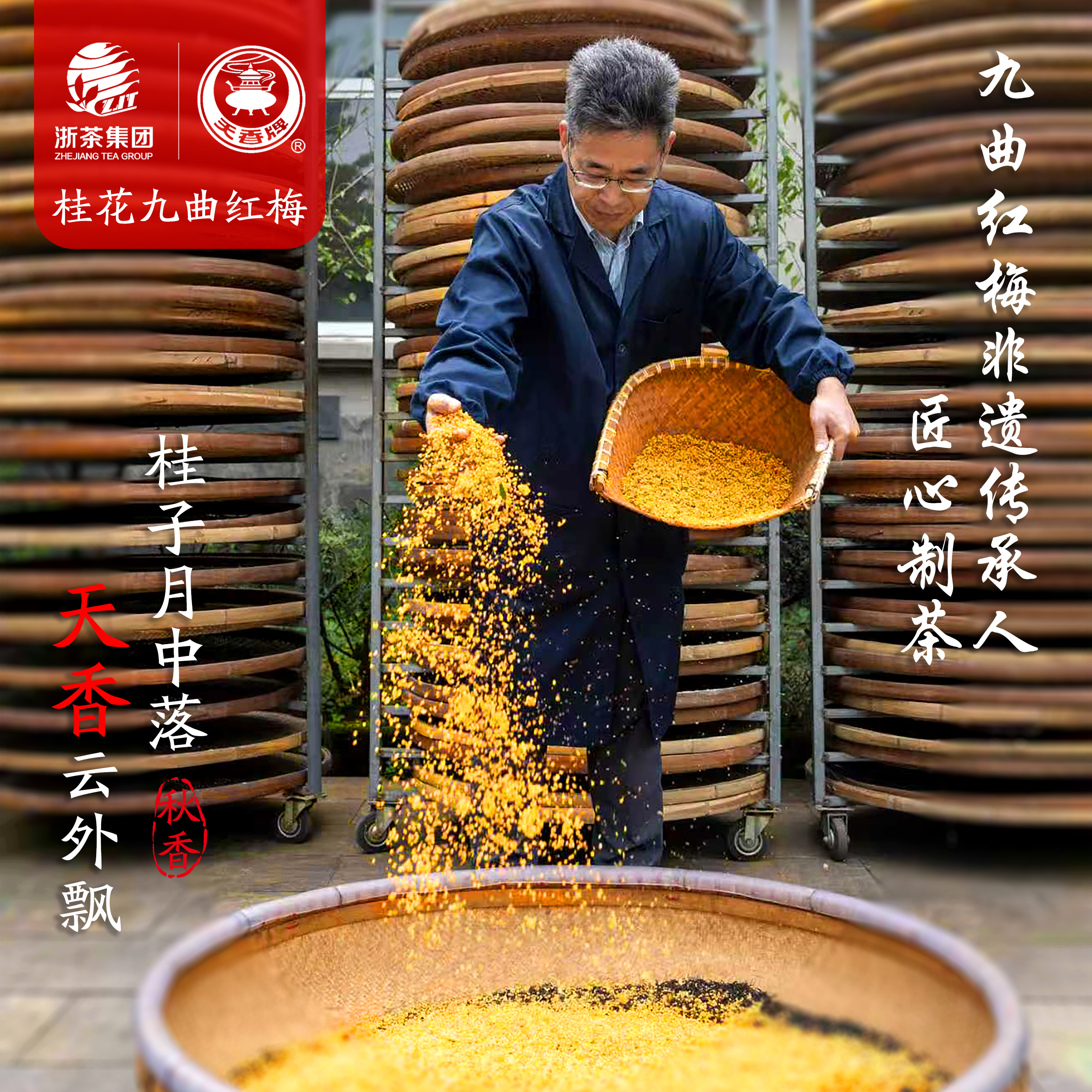 "天香牌"桂花/陈皮/茉莉九曲红梅 群体种茶青 茶汤明亮通透 入口甘甜