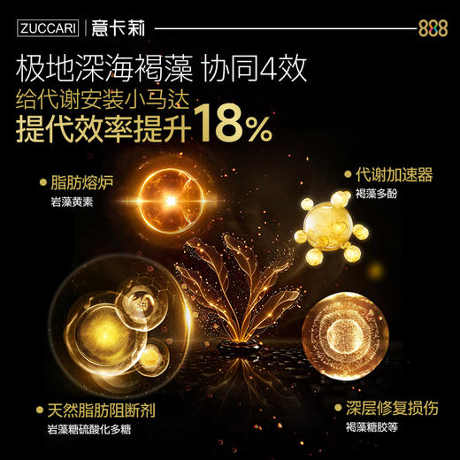 意卡莉ZUCCARI 金装888代谢饮便捷盒装 塑身控体提代燃卡 商品图2