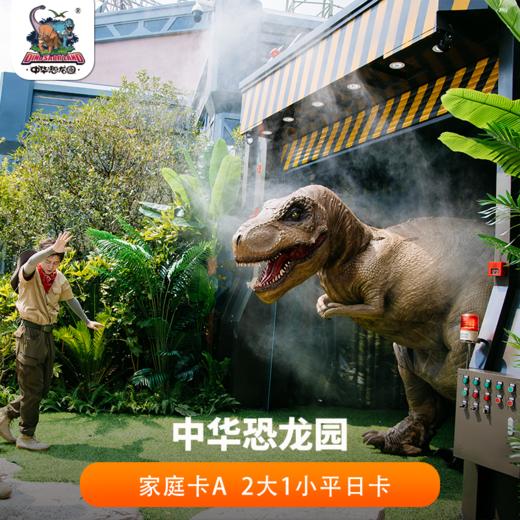 2026年恐龙园家庭卡A 2大1小平日卡(法定节假日不可用) 商品图0