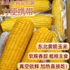 元鲜拾光 东北黄糯玉米 甜糯双绝 新鲜采摘 香甜可口 220g/根*8根/袋 商品缩略图4