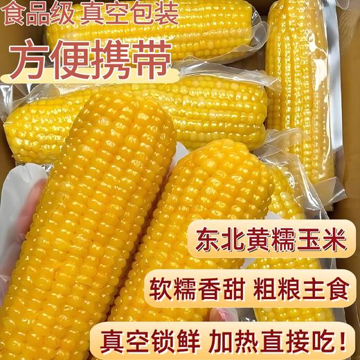 元鲜拾光 东北黄糯玉米 甜糯双绝 新鲜采摘 香甜可口 220g/根*8根/袋 商品图4