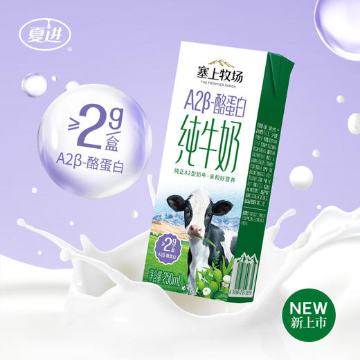 塞上牧场A2β-酪蛋白纯牛奶 250ml×12盒 商品图2