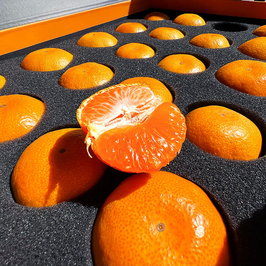 『正宗临海涌泉蜜桔』皮薄肉嫩，汁多化渣，甜蜜细腻，色泽亮丽 商品图3