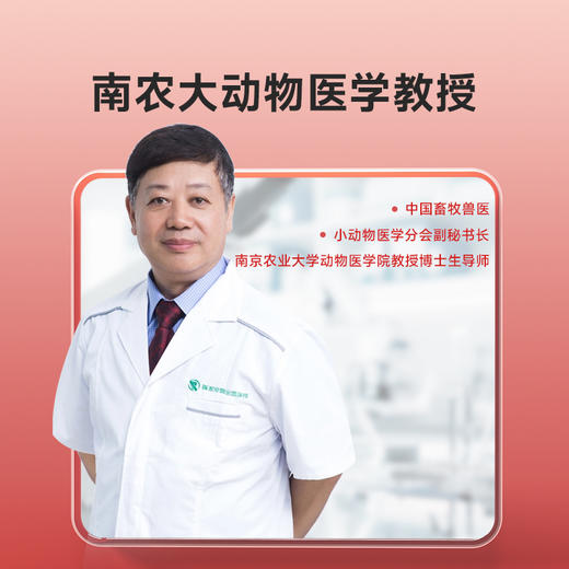 【2盒加送赠品】谷登关节宝1.6g*8粒*3版  （猫用) 商品图1