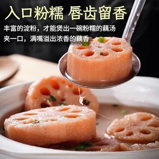 湖北洪湖粉藕 现挖九孔口感粉糯香甜 商品图3