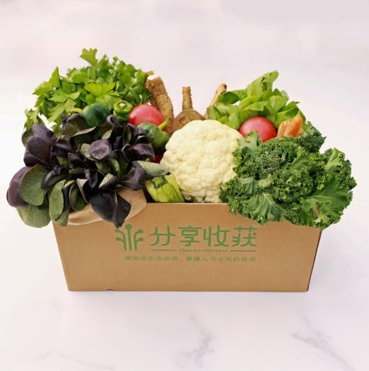 生态蔬菜箱（可自选）|   口感鲜嫩 | 石嫣农场*Ecological vegetable box 商品图0