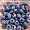 云南现摘蓝莓 果肉饱满 酸甜浓郁 高山生态新鲜水果 商品缩略图2