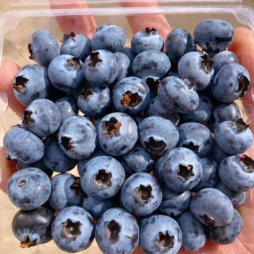 云南现摘蓝莓 果肉饱满 酸甜浓郁 高山生态新鲜水果 商品图2