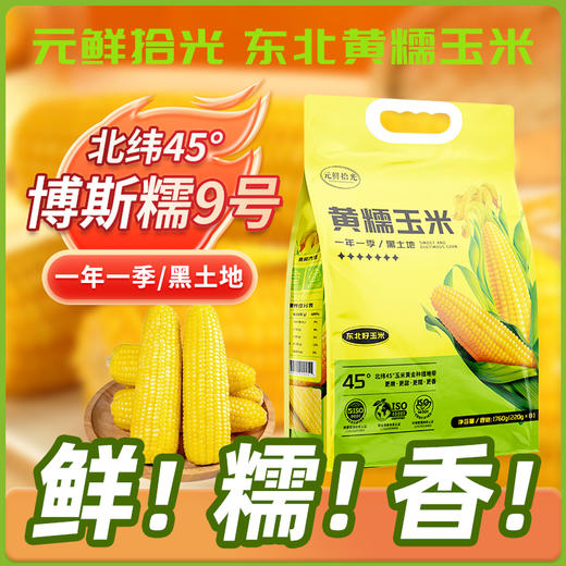 元鲜拾光 东北黄糯玉米 甜糯双绝 新鲜采摘 香甜可口 220g/根*8根/袋 商品图0