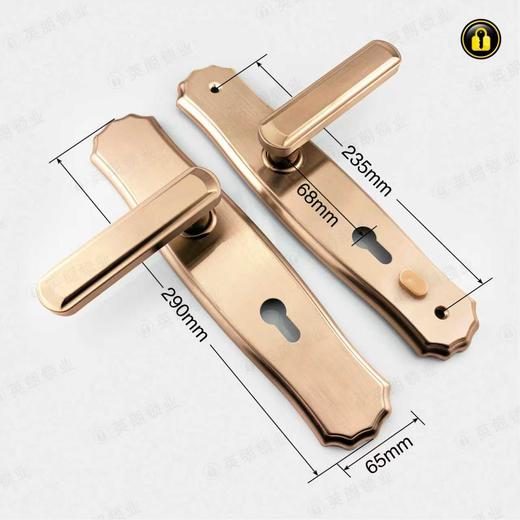 〖A049〗玫瑰金1.2厚2904(大85)双活左 商品图2