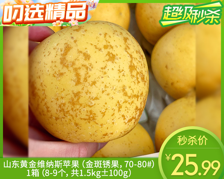 【预售-12月22日配送】山东黄金维纳斯苹果（金斑锈果，70-80#）/1箱（8-9个，共1.5kg±100g）