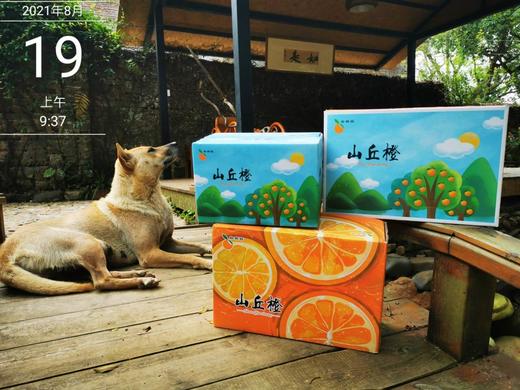 山丘橙基地直邮 商品图0