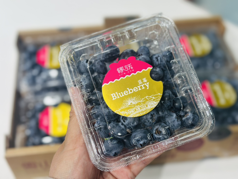 云南雪山恬蓝莓🫐18+（125g）