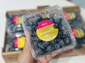 云南雪山恬蓝莓🫐18+（125g）