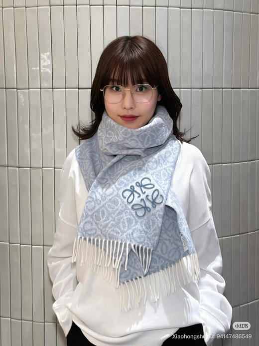 1010-1 渠道货 lew 新款 牙刷绣 徽标字母 羊毛羊绒 对比棋盘格 流苏长款围巾 商品图11