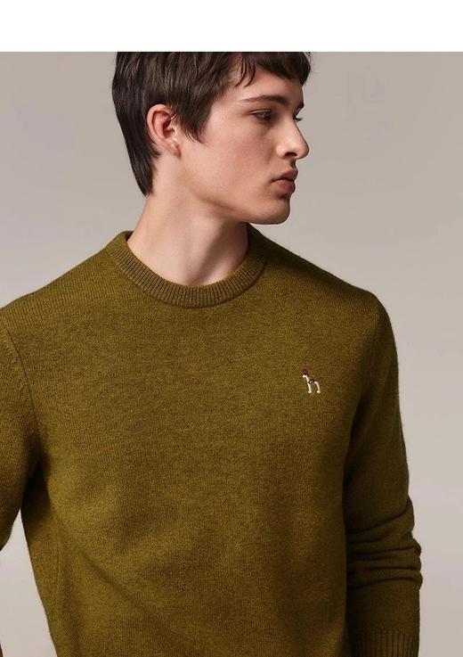 一店k （贸易公司订单！）25ss樶～新男款合集！皇冠狗针织衫太顶了！100%绵羊毛 25年秋冬新款圆领套头衫 商品图0