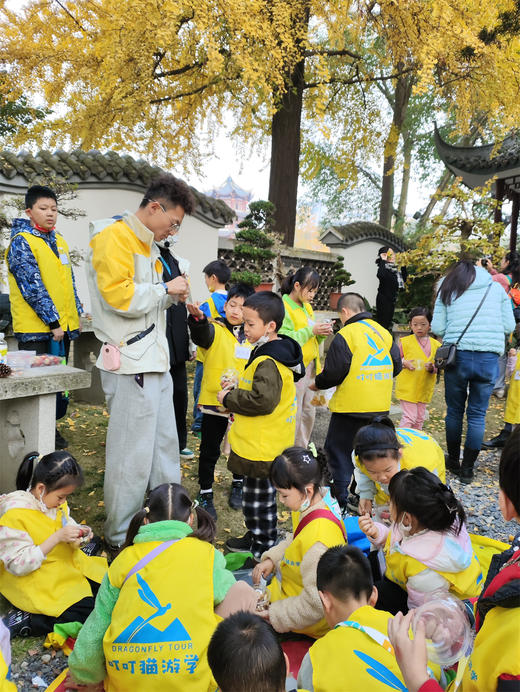 12.13/12.21❗跨越千年之约🍁【“又到杏黄时”银杏主题半日游学】 🍁落叶飘舞，满地金黄 🌳唐代千年银杏生长、季相分析，结构观察分析，可以吃的博物课 🎨打开五感寻找秋季色盘，感受生命美好 商品图3