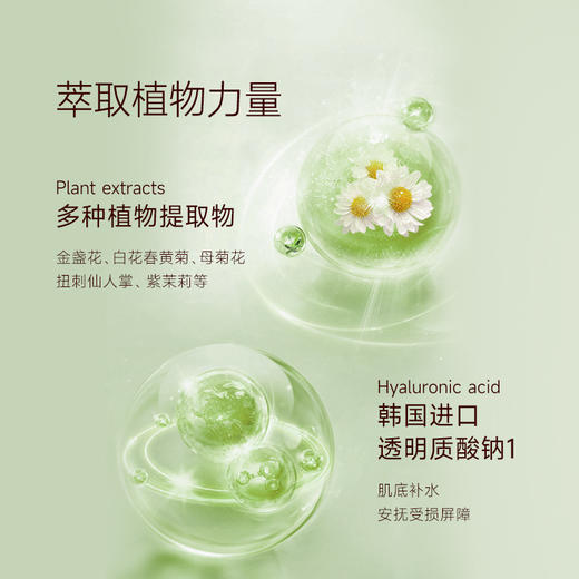 柏卡姿洋甘菊花水补水保湿 商品图2