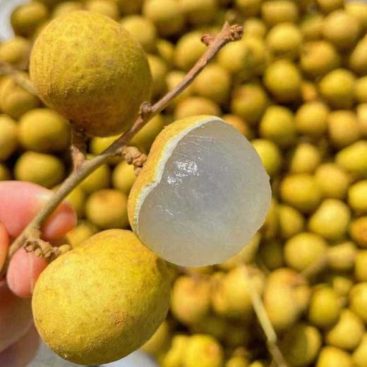 泰国鲜龙眼 饱满肉厚 无渣甜润 进口应季鲜果 商品图2