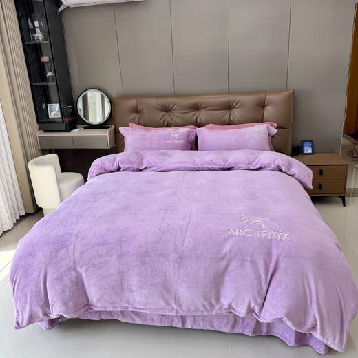 【始祖鸟专柜联名款顶级臻棉绒被】-RJYL 商品图5