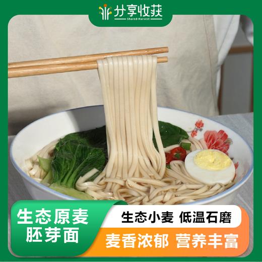 生态原麦胚芽面 | 公平贸易 * Ecological Whole Wheat Germ Noodles 商品图0