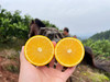 【麻阳冰糖橙】✔️🍊麻阳冰糖橙也叫“冰糖泡”，因甜似冰糖而得名，因其自然生长高山，成熟的橙子表皮带点“麻”点和花皮。-TTSG 商品缩略图5