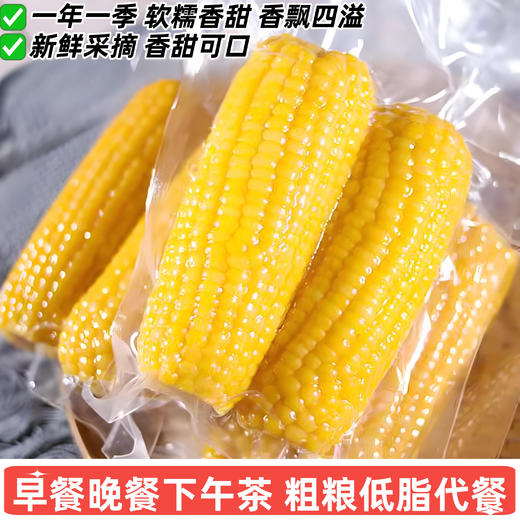 元鲜拾光 东北黄糯玉米 甜糯双绝 新鲜采摘 香甜可口 220g/根*8根/袋 商品图2