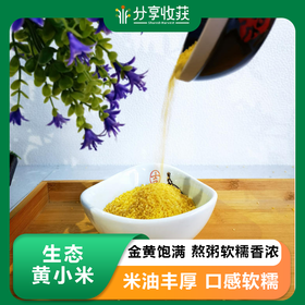 生态黄小米 | 软糯微甜 | 公平贸易 * Ecological Yellow Millet