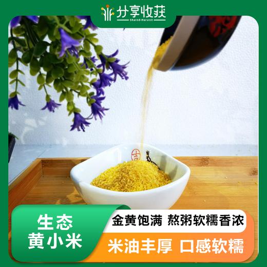 生态黄小米 | 软糯微甜 | 公平贸易 * Ecological Yellow Millet 商品图0