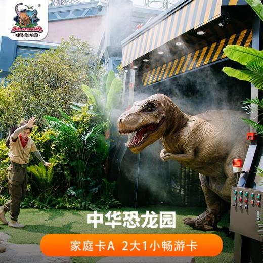2026年中华恐龙园A  2大1小家庭畅游卡 商品图0
