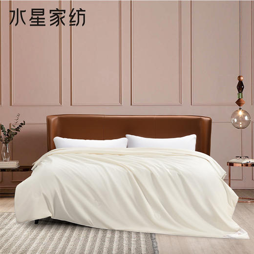 [水星家纺]煦暖阳光蚕丝四季被(200*230cm ) 商品图0