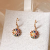新款彩色锆石烟花耳钩耳环女小众设计轻奢高级感耳钉气质百搭耳饰 商品缩略图3