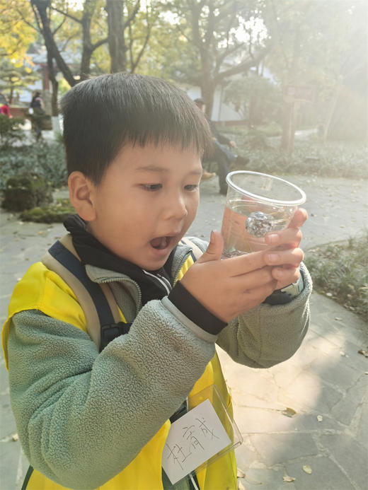 12.13/12.21❗跨越千年之约🍁【“又到杏黄时”银杏主题半日游学】 🍁落叶飘舞，满地金黄 🌳唐代千年银杏生长、季相分析，结构观察分析，可以吃的博物课 🎨打开五感寻找秋季色盘，感受生命美好 商品图4