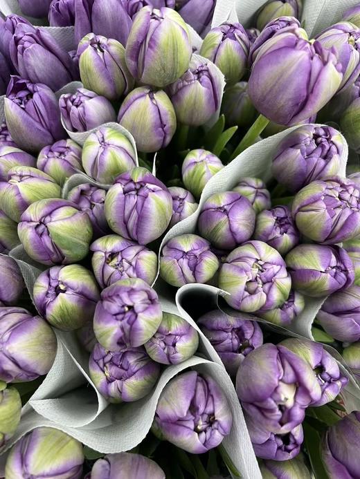 国产郁金香合集 商品图6