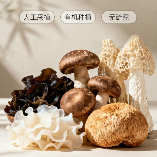 神农唛精选有机菌菇礼盒 山珍猴头菇竹荪节日送礼615g 商品图2