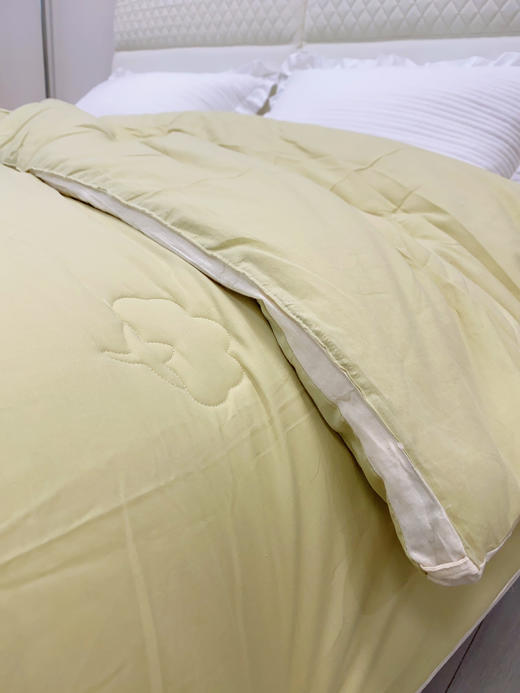 松植屋2025冬季新款100%全棉双层纱棉花被新疆棉花填充秋冬厚款新疆长绒棉纱布棉花被子 商品图1