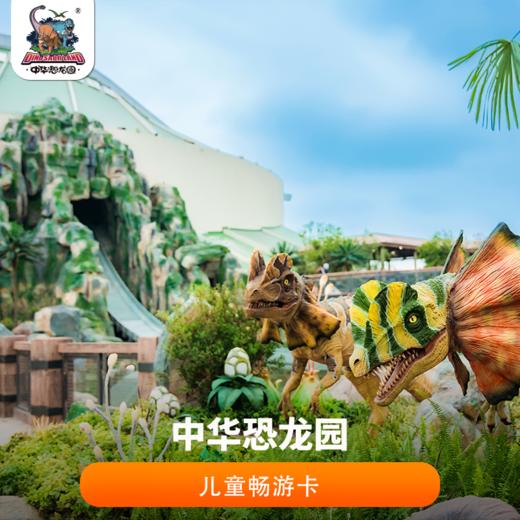 2026年中华恐龙园儿童畅游卡 商品图0