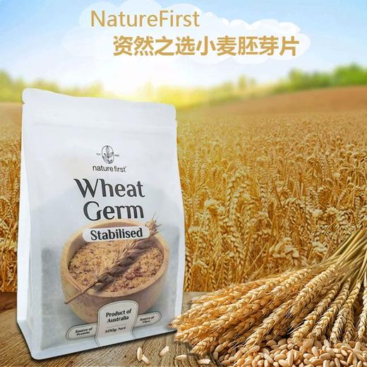 NatureFirst资然之选小麦胚芽片500g/033758  不添加任何香料和防腐剂 配料只有小麦胚芽片 商品图0