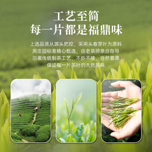 【赠焖杯】华祥苑-福鼎白茶寿眉小方片105g*2盒 商品图3