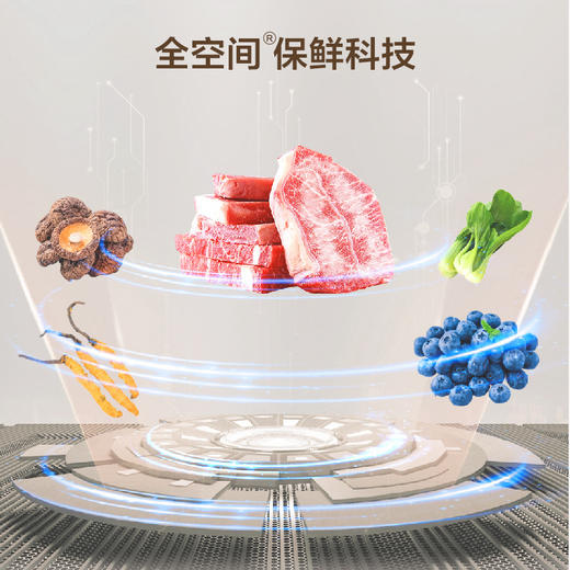 海尔（Haier）冰箱 BCD-572WGHTD1BYCU1 商品图6