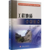 工程地质分析技术 商品缩略图0