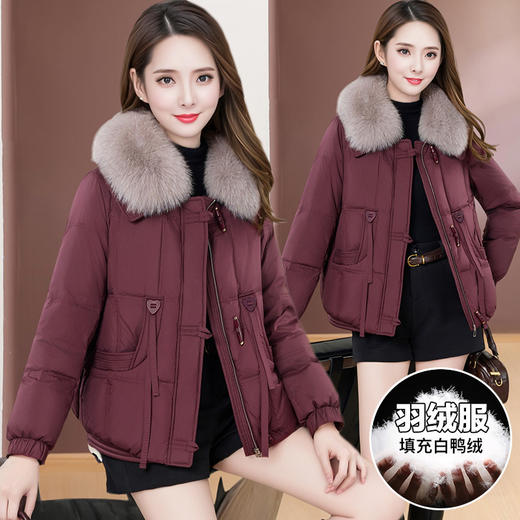 QYM LC05白鸭绒羽绒服洋气毛领外套 商品图2