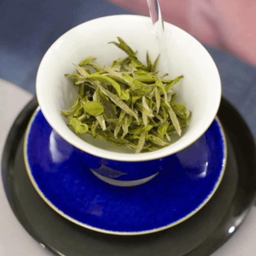 【鸿雪芽】2020年荒野白牡丹 商品图2