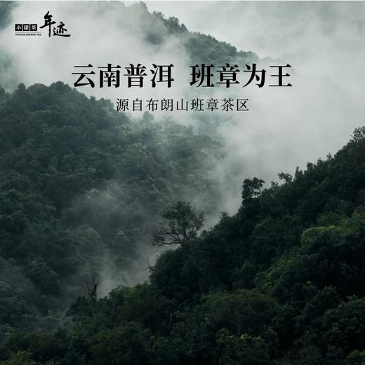 小罐茶年迹班章生态普洱茶 熟茶紧压2020年焖泡装3g*66饼送长辈 商品图2