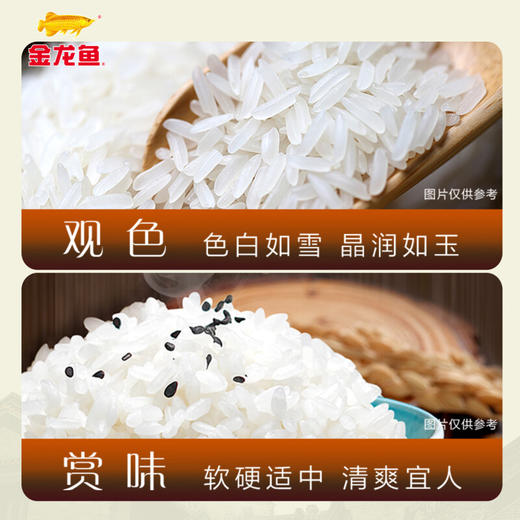 【金龙鱼御品软香米5KG】入口清甜 香糯弹滑 商品图4